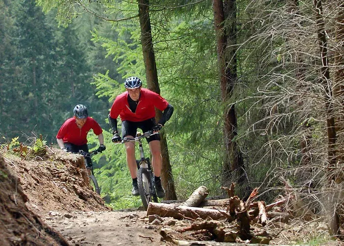 Casa de Férias Rosedale